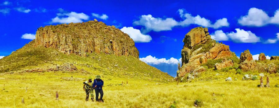 Things to Do in Kenya