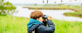Bird Watching