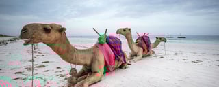 Diani Beach