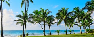 Diani Beach