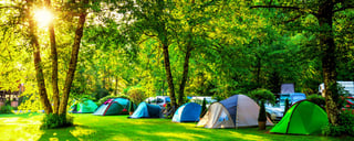 Ensure A Proper Shelter