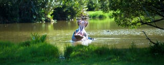 Haller Park