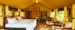 Campo safari Mara Eden