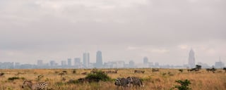 Nairobi National Park