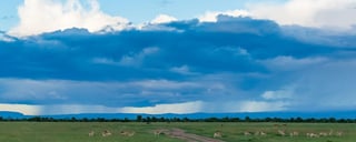 Météo au Kenya