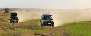 Parchi safari naturali