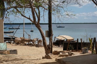 Isola di Lamu, Kenya