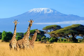 2nd Uganda-Kenya Coast Tourism Conference
