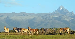 Amount needed to acquire the Kenya eTAa