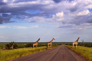 Boosting African Tourism