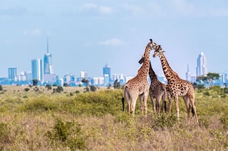 Latest Visa Fees in Kenya