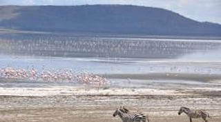 Lake Naivasha: A Natural Gem in Kenya