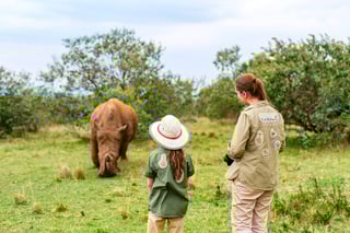 Vista posteriore della famiglia in safari che cammina vicino al rinoceronte bianco Vista posteriore della famiglia in safari che cammina vicino al rinoceronte bianco