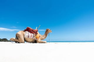 Diani Beach