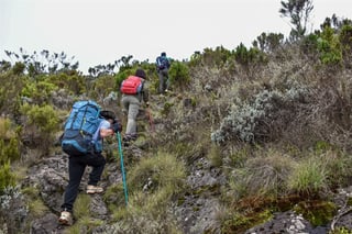 esplorando l'avventura di trekking sulla collina degli elefanti nelle catene montuose di Aberdare