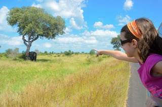 Safari in famiglia in Africa: bambino in auto che osserva gli elefanti nella savana del Parco Nazionale Kruger Safari in famiglia in Africa: bambino in auto che osserva gli elefanti nella savana del Parco Nazionale Kruger