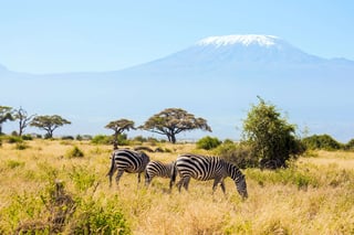 Kenya eTA for Togo Citizens Kenya eTA for Togo Citizens