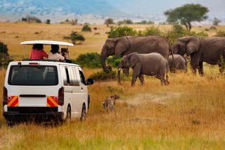 Kenya Travel Updates