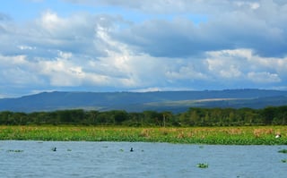 Lake Naivasha