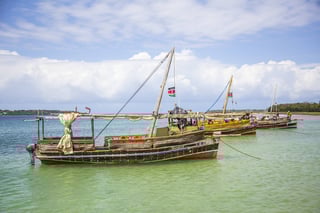 Mombasa sea shore