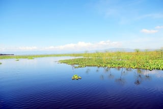 Naivasha