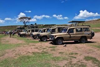 Safari in Kenya e Tanzania, Africa Safari in Kenya e Tanzania, Africa