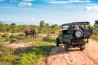 Top Things to Do in Kenya