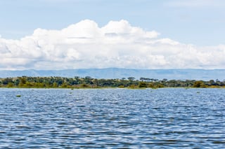 The Naivasha Lake