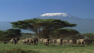 Suggerimenti per ottenere un visto turistico in Kenya