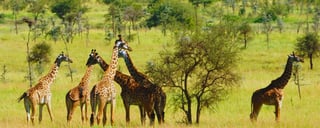 Chyulu Hills National Park