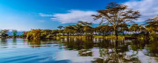 Lake Naivasha