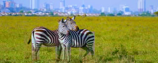 Nairobi National Park