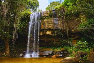 Shimba Hills National Reserve