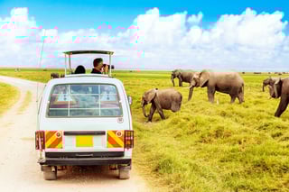Turisti fotografano elefanti selvatici nel Parco Nazionale di Amboseli, Kenya Safari Concept Turisti fotografano elefanti selvatici nel Parco Nazionale di Amboseli, Kenya Safari Concept