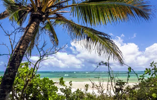 Amazing Diani beach seascape with white sand and turquoise Indian Ocean, Kenya