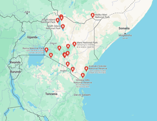 unveiling the splendor a look at some of kenya remarkable national parks.png