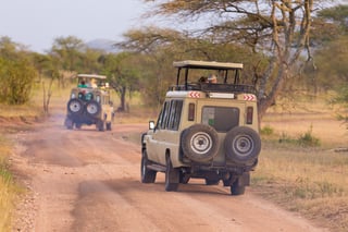Veicoli nel safari della fauna selvatica africana Veicoli nel safari della fauna selvatica africana