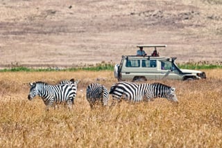 Why Ecuadorian Travelers Love Kenya