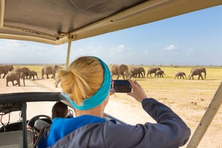 Donna in un safari nella fauna selvatica africana nel Parco nazionale di Amboseli, Kenya. Donna che scatta una foto a una mandria di animali selvatici. Donna in un safari nella fauna selvatica africana nel Parco nazionale di Amboseli, Kenya. Donna che scatta una foto a una mandria di animali selvatici.