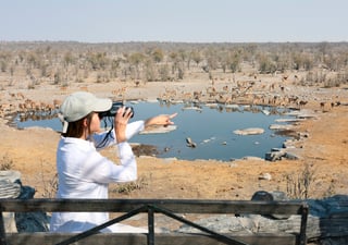 Woman Tourist on Safari in Africa Sitting in Front of a Puddle of Water Watching Wild Animals Woman Tourist on Safari in Africa Sitting in Front of a Puddle of Water Watching Wild Animals