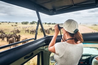 Woman tourist on safari in africa traveling by car with an open roof of kenya Woman tourist on safari in africa traveling by car with an open roof of kenya