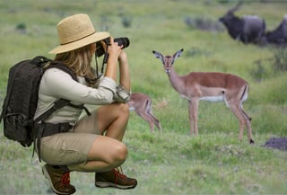 Giovane donna in tenuta da safari fotografa la fauna selvatica africana Giovane donna in tenuta da safari fotografa la fauna selvatica africana