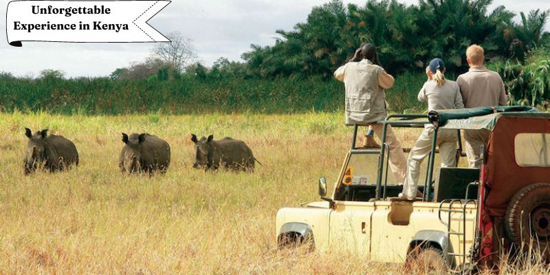 Scopri il momento ideale per un'esperienza indimenticabile in Kenya
