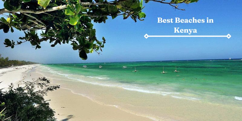 Costa del Kenya Le 10 migliori spiagge del Kenya