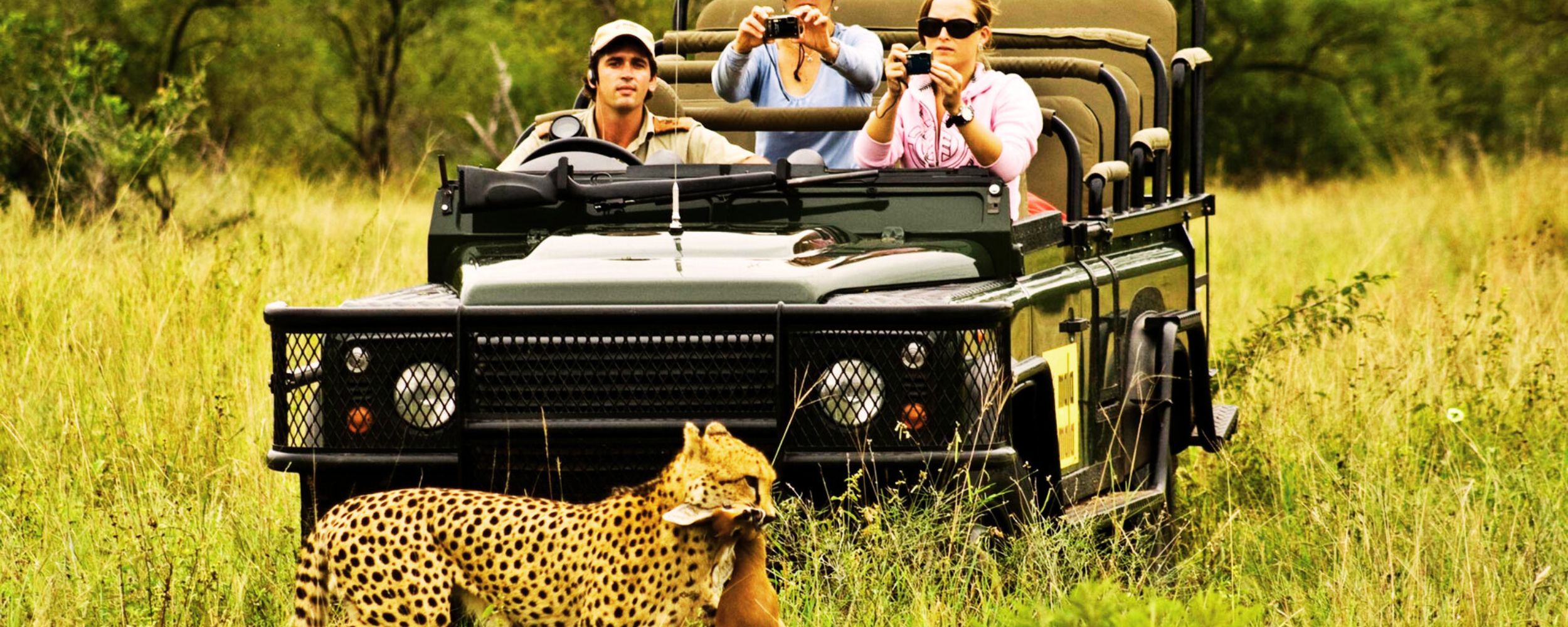 Safari Activities