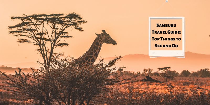 Samburu National Park-a reservoir of wildlife in Kenya