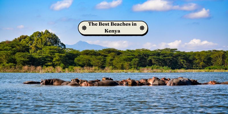Die besten Strände in Kenia