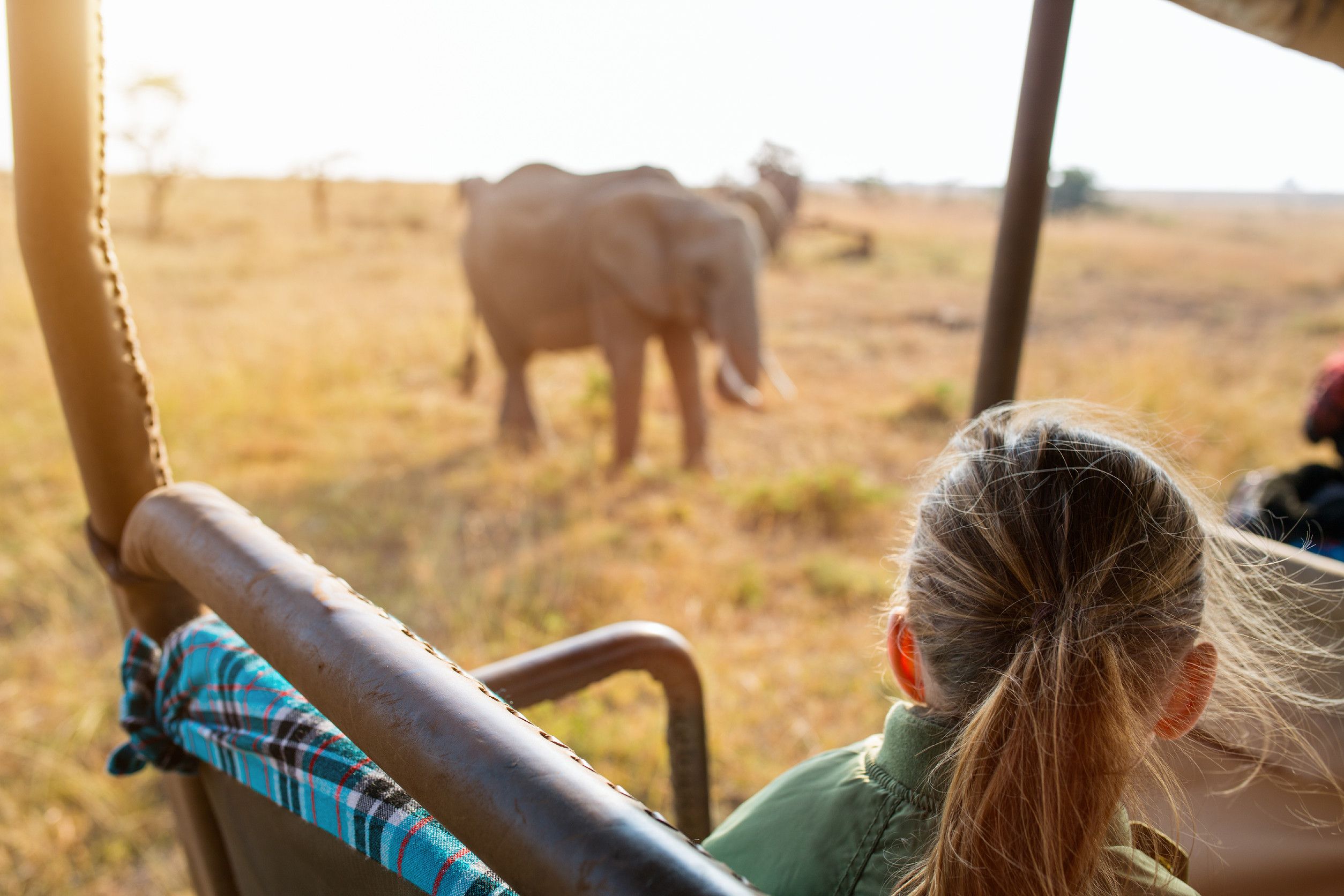Entzückendes kleines Mädchen in Kenia Safari auf morgendlicher Pirschfahrt im offenen Fahrzeug