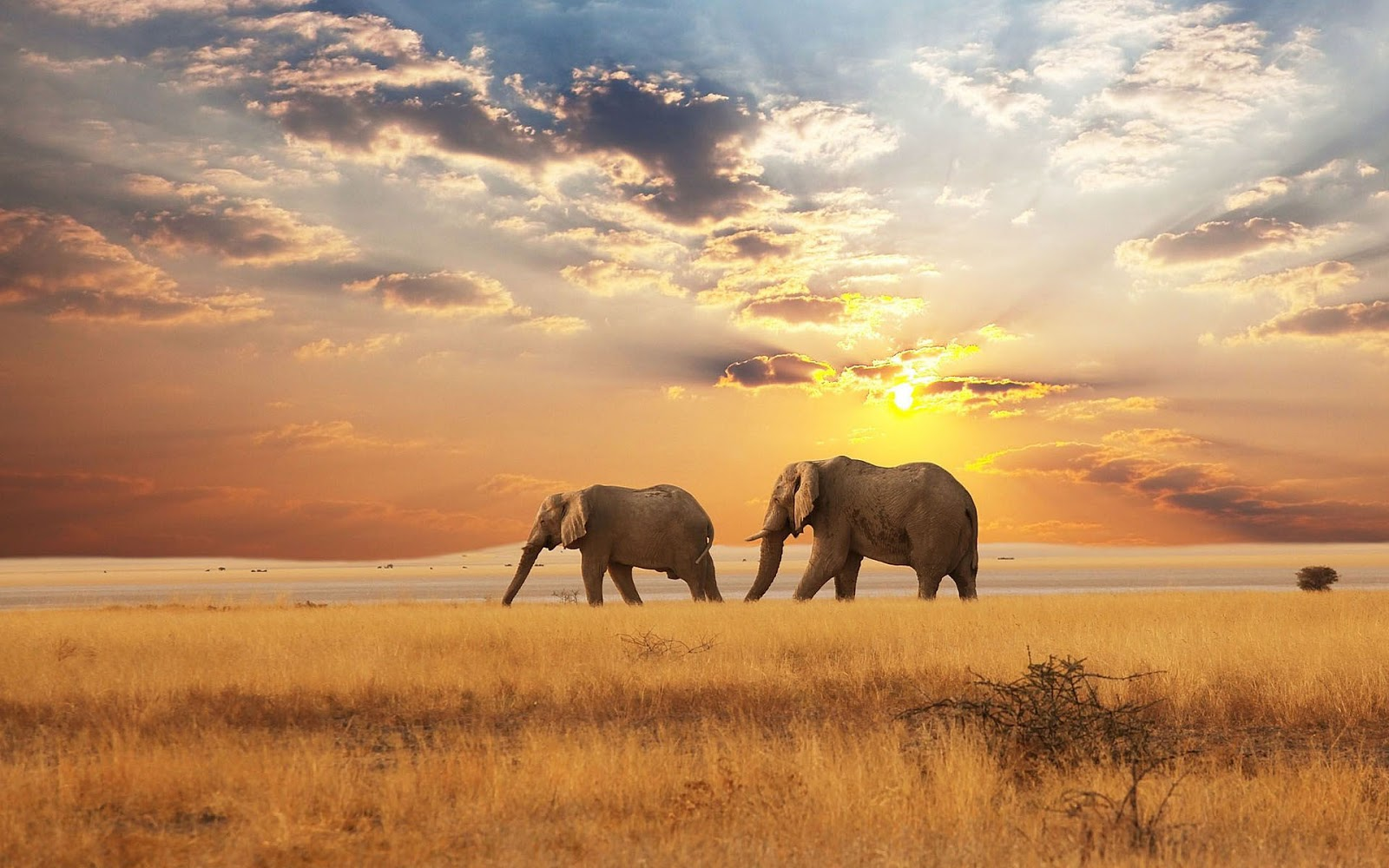 Africa Heartlande