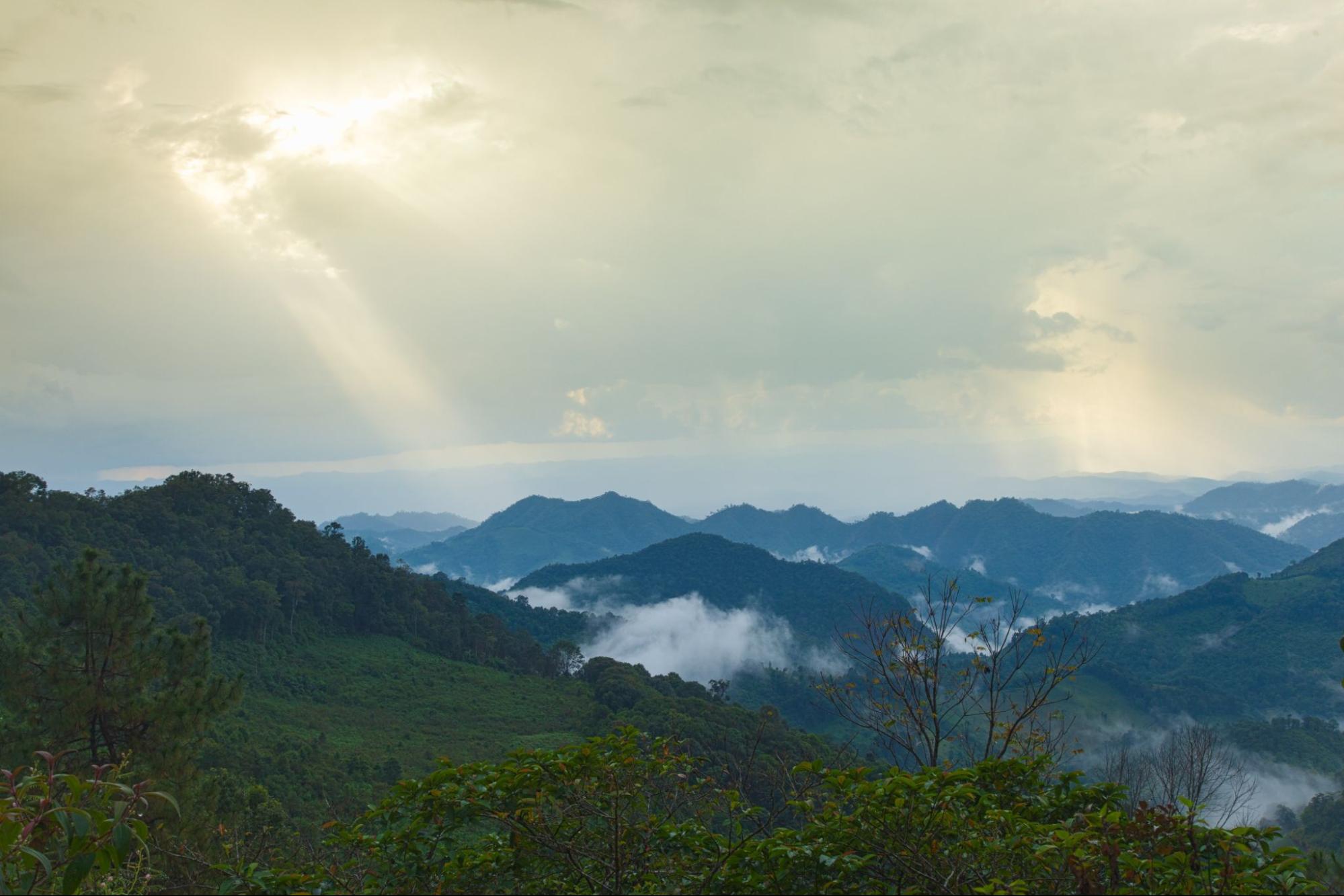 Bwindi Impenetrable National Park